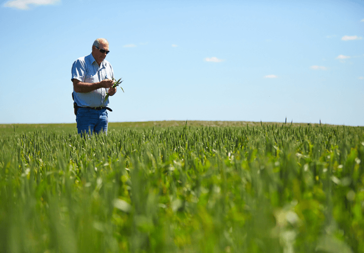 Biosolids Farm